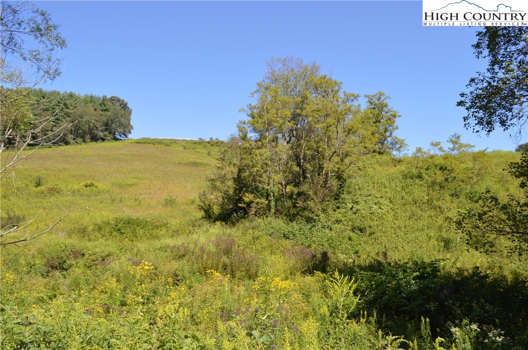 1828 Stratford Road Sparta, NC 28675 - Photo 34 of 44