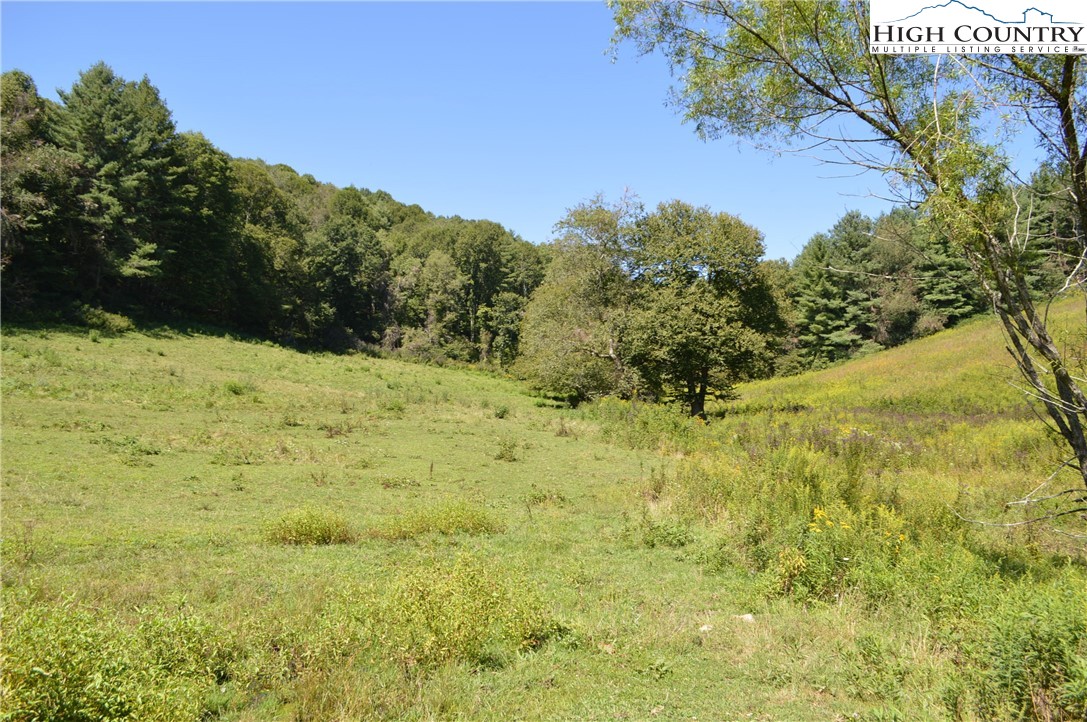 1828 Stratford Road Sparta, NC 28675 - Photo 35 of 44