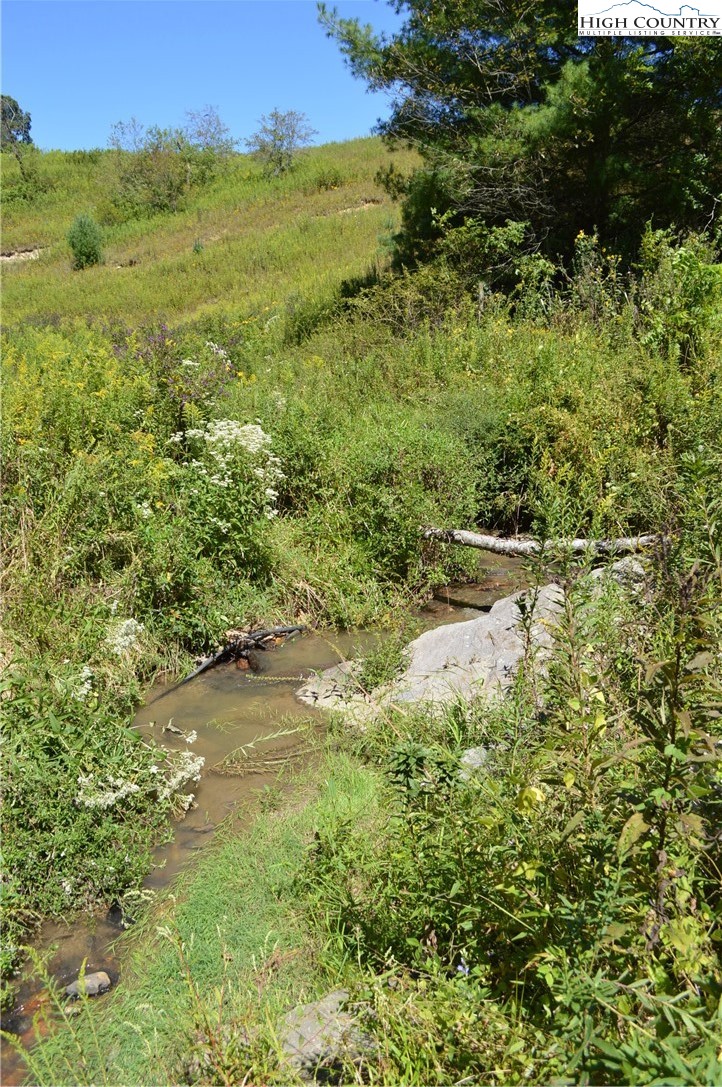 1828 Stratford Road Sparta, NC 28675 - Photo 36 of 44