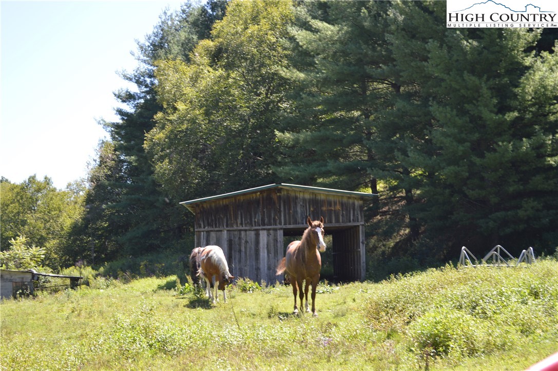 1828 Stratford Road Sparta, NC 28675 - Photo 37 of 44