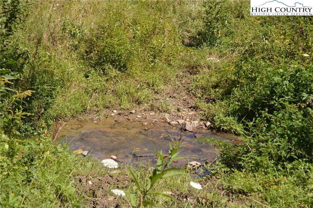 1828 Stratford Road Sparta, NC 28675 - Photo 39 of 44