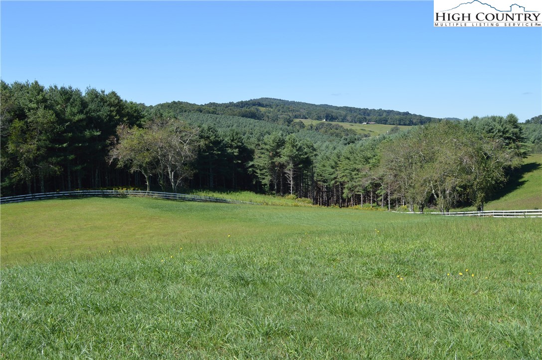 1828 Stratford Road Sparta, NC 28675 - Photo 4 of 44