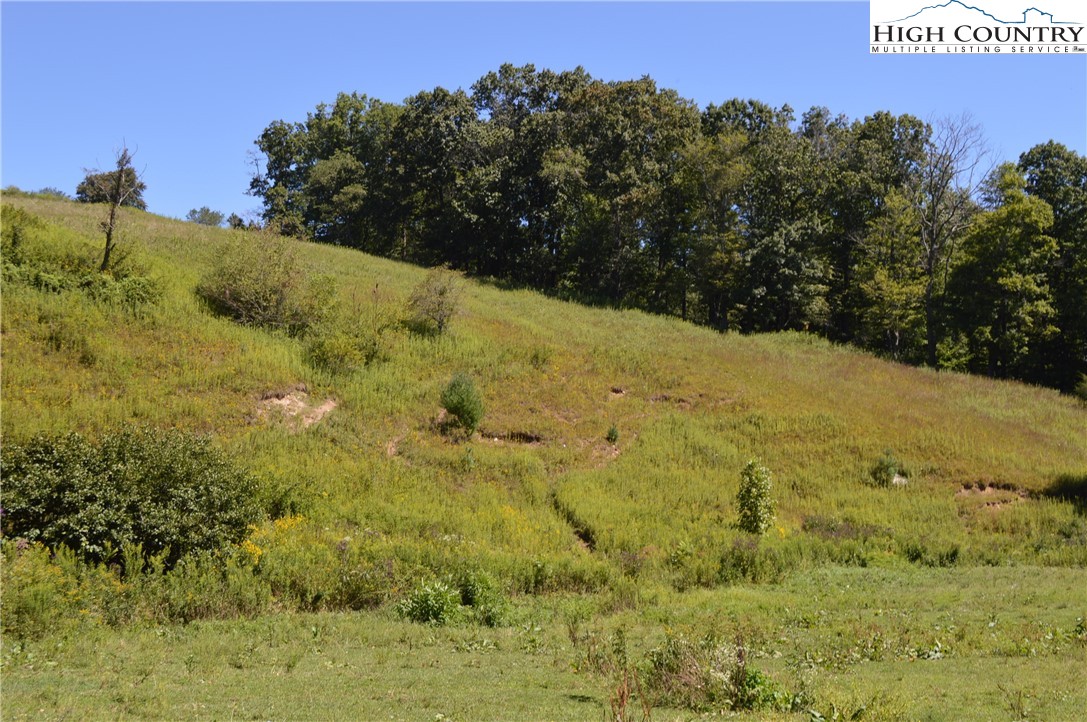 1828 Stratford Road Sparta, NC 28675 - Photo 41 of 44