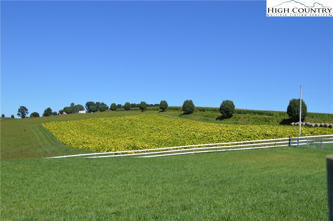 1828 Stratford Road Sparta, NC 28675 - Photo 44 of 44