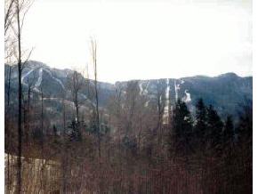 0 Smugglers View Cambridge, VT 05464 - Photo 1 of 1 Gallery Image 1