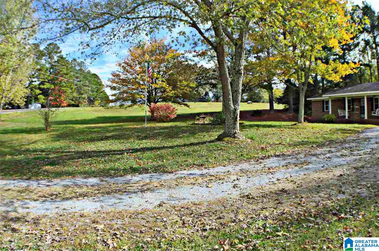 4157 Highway 55 East Eva, AL 35621 - Photo 2 of 23