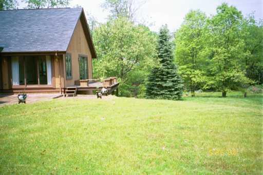 4479 Hilty Road Murrysville, PA 15632 - Photo 7 of 8 Other.