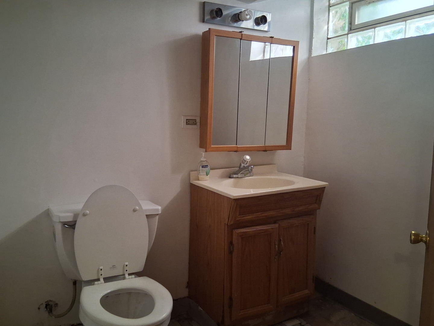 10557 South Racine Avenue Chicago, IL 60643 - Photo 15 of 20 a bathroom with a sink vanity mirror and toilet
