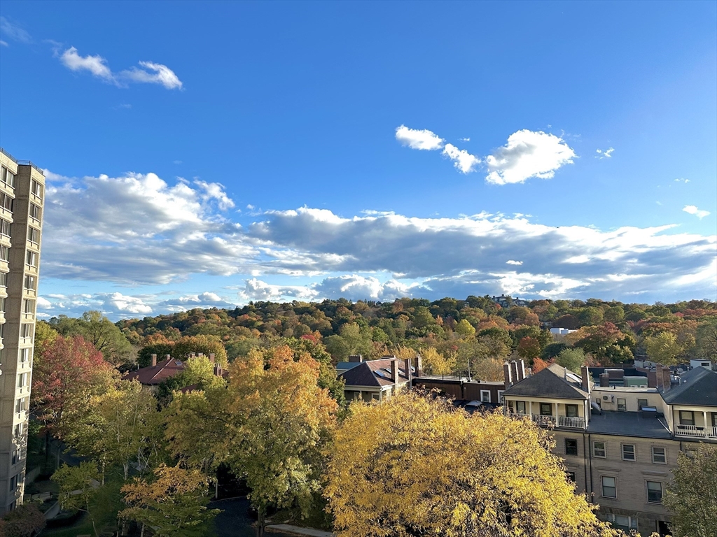 1731 Beacon Street, Unit 721 Brookline, MA 02445 - Photo 14 of 33