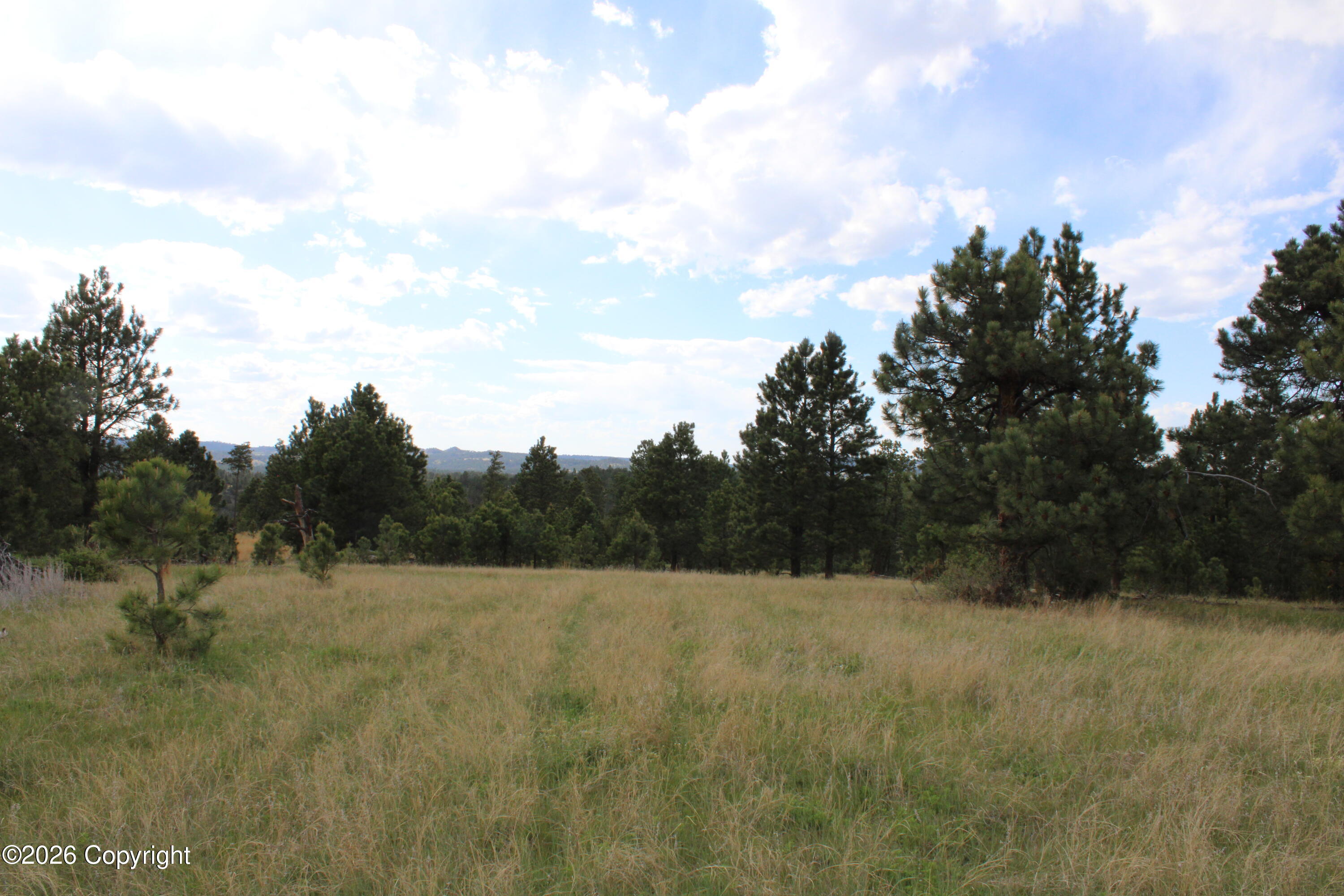 9 River Road Alva, WY 82711 - Photo 23 of 43 Gallery Image 23