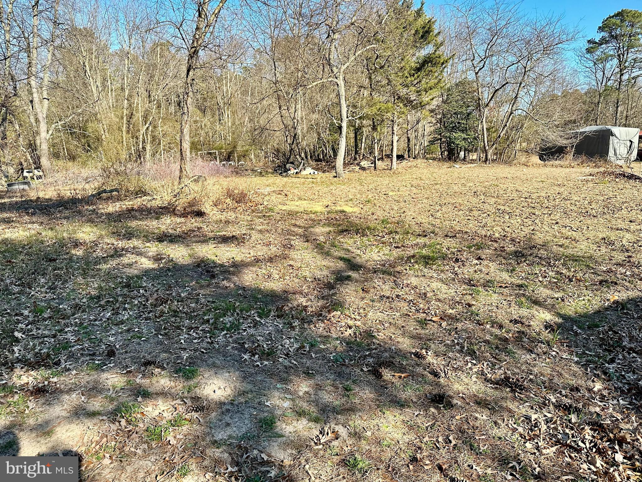 68 Cobbs Mill Road Bridgeton, NJ 08302 - Photo 7 of 24 Gallery Image 7
