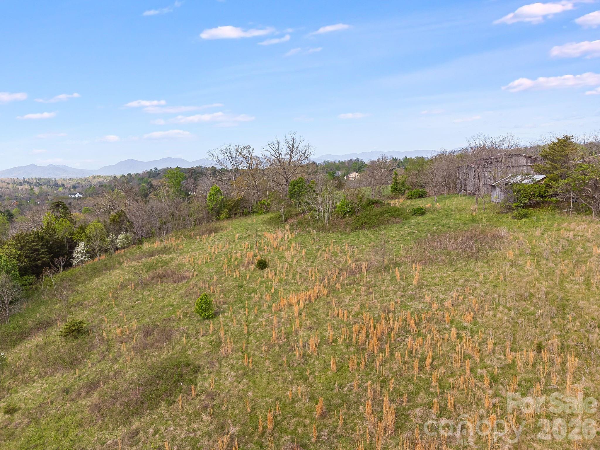 47 Gill Branch Road Weaverville, NC 28787 - Photo 7 of 13