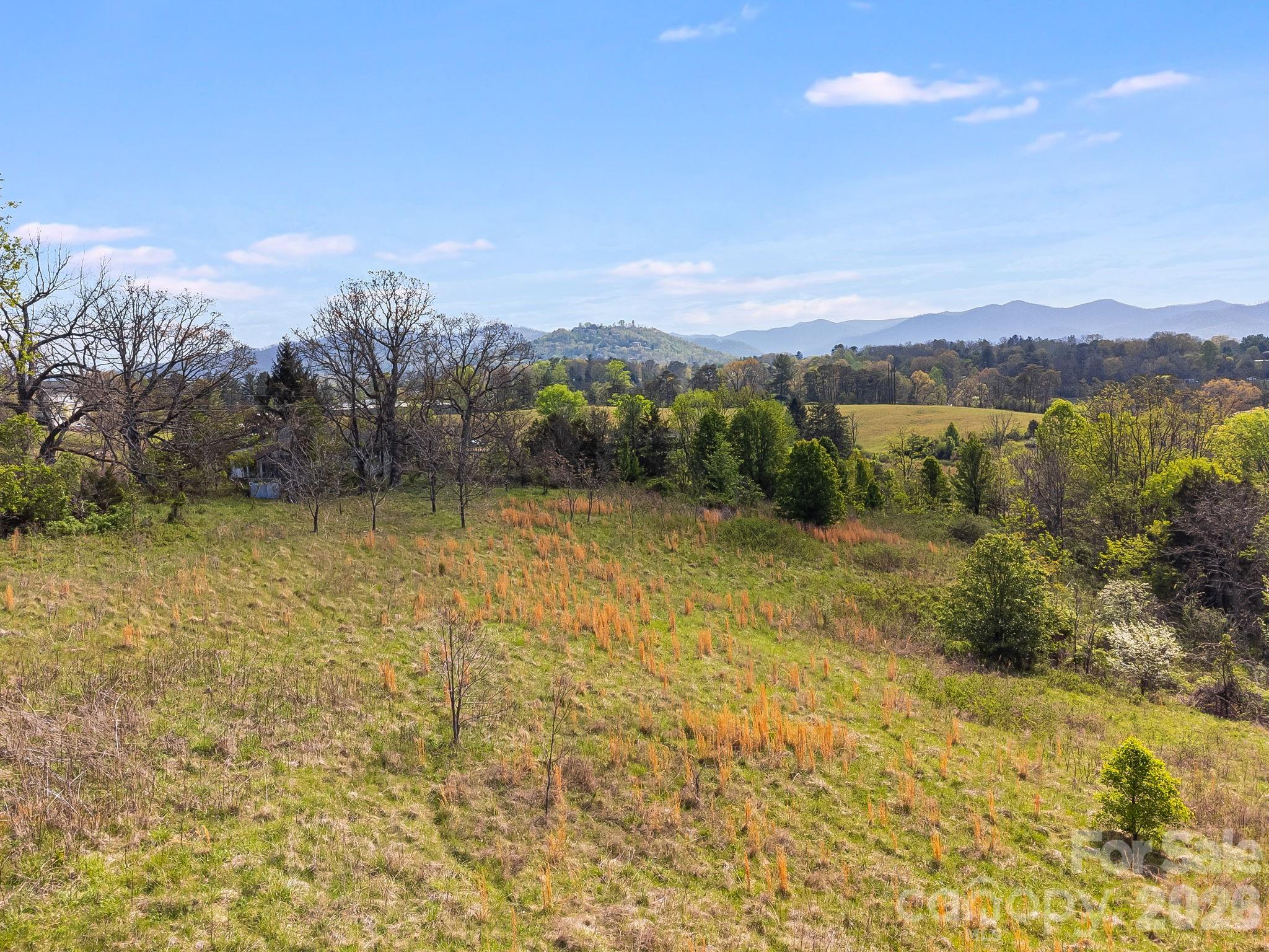 47 Gill Branch Road Weaverville, NC 28787 - Photo 8 of 13