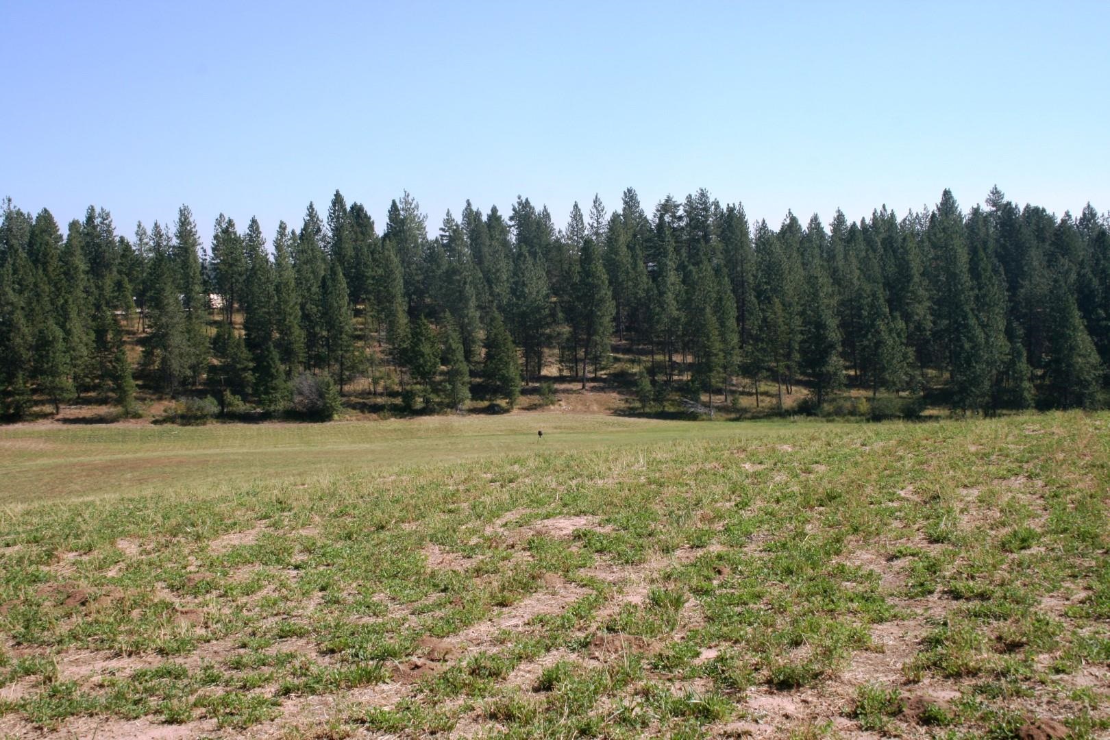 5203 Olinger Road Springdale, WA 99173 - Photo 21 of 24