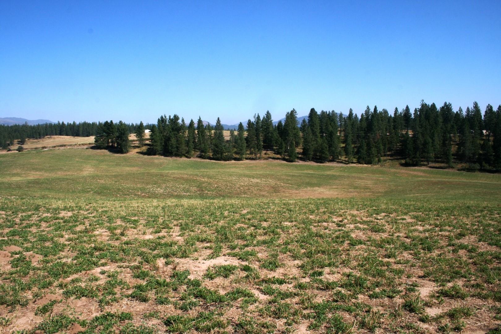 5203 Olinger Road Springdale, WA 99173 - Photo 23 of 24