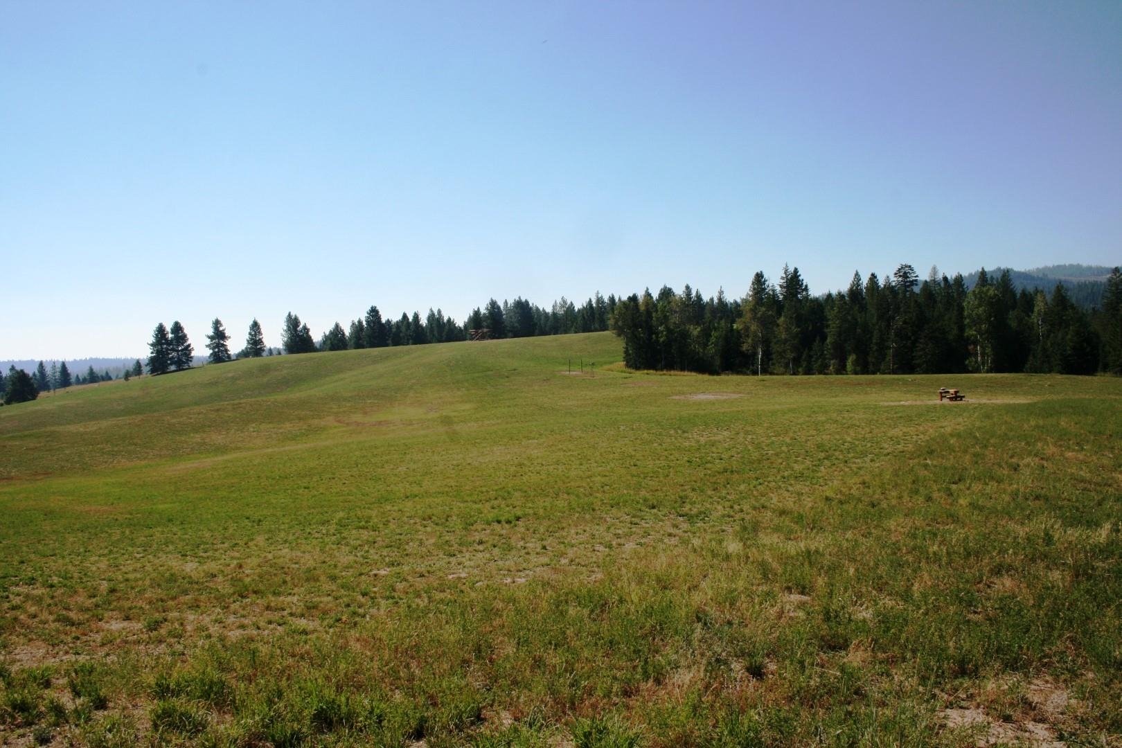 5203 Olinger Road Springdale, WA 99173 - Photo 6 of 24