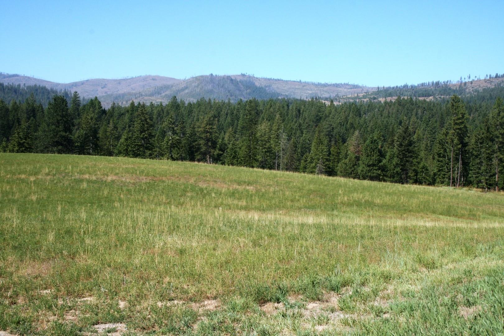 5203 Olinger Road Springdale, WA 99173 - Photo 10 of 24