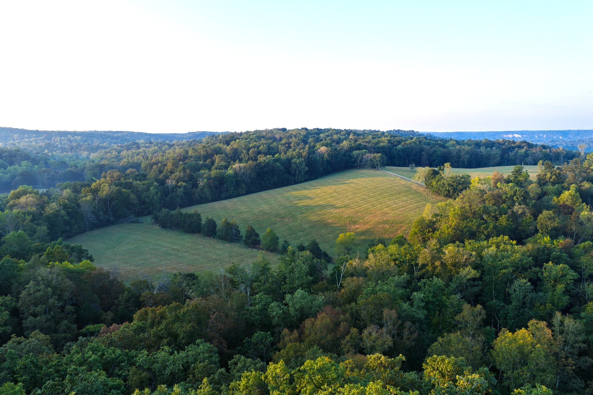 110 Wade Reed Road White Bluff, TN 37187 - Photo 51 of 94 Gallery Image 51