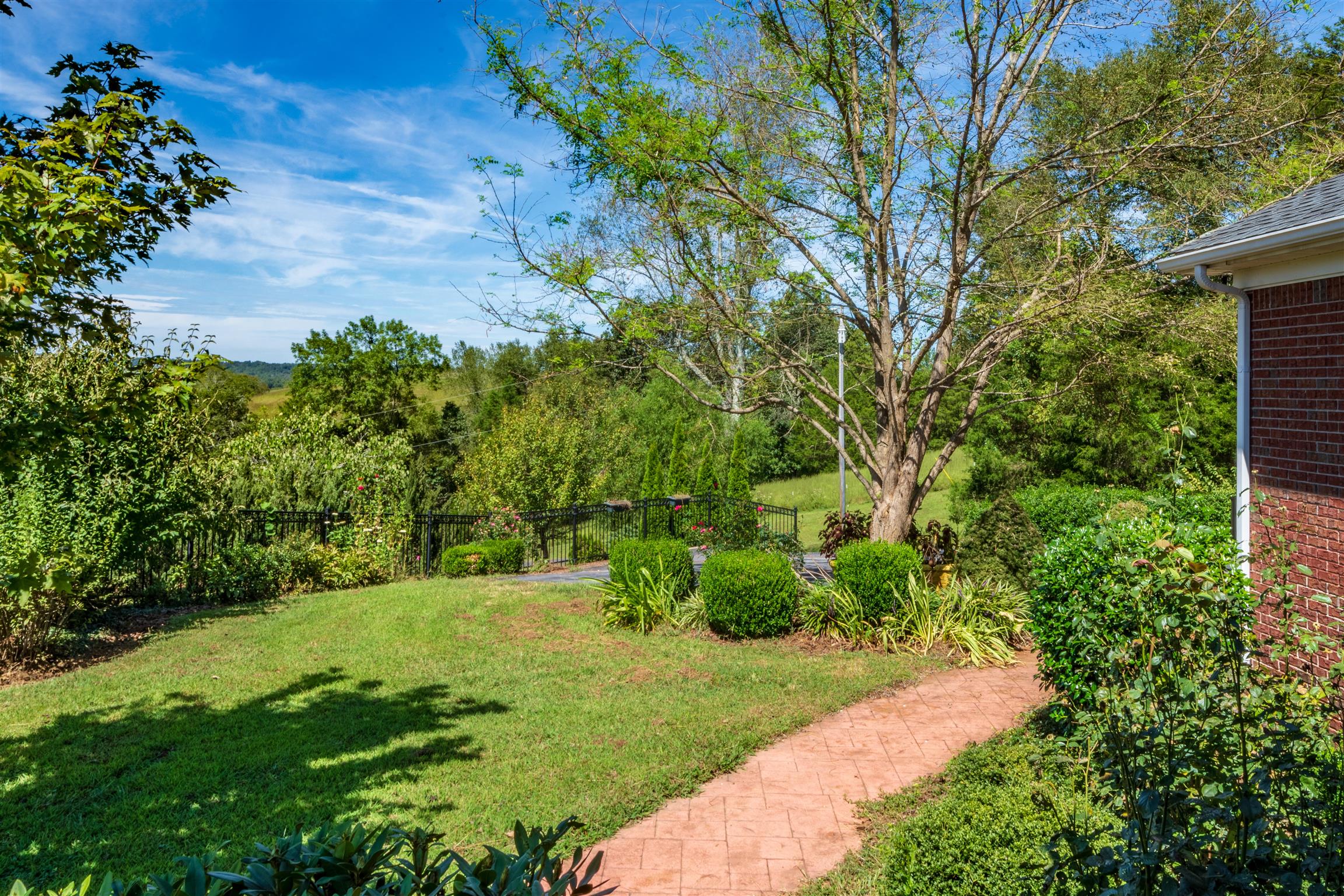 439 Agnew Road Pulaski, TN 38478 - Photo 3 of 30 a view of yard with green space