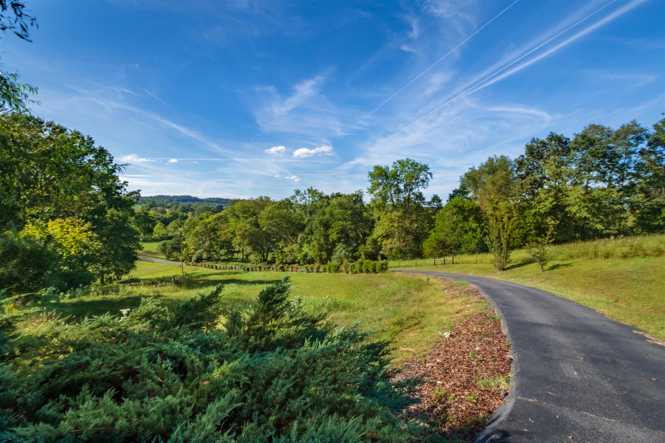 439 Agnew Road Pulaski, TN 38478 - Photo 30 of 30 a view of a big yard with lots of green space