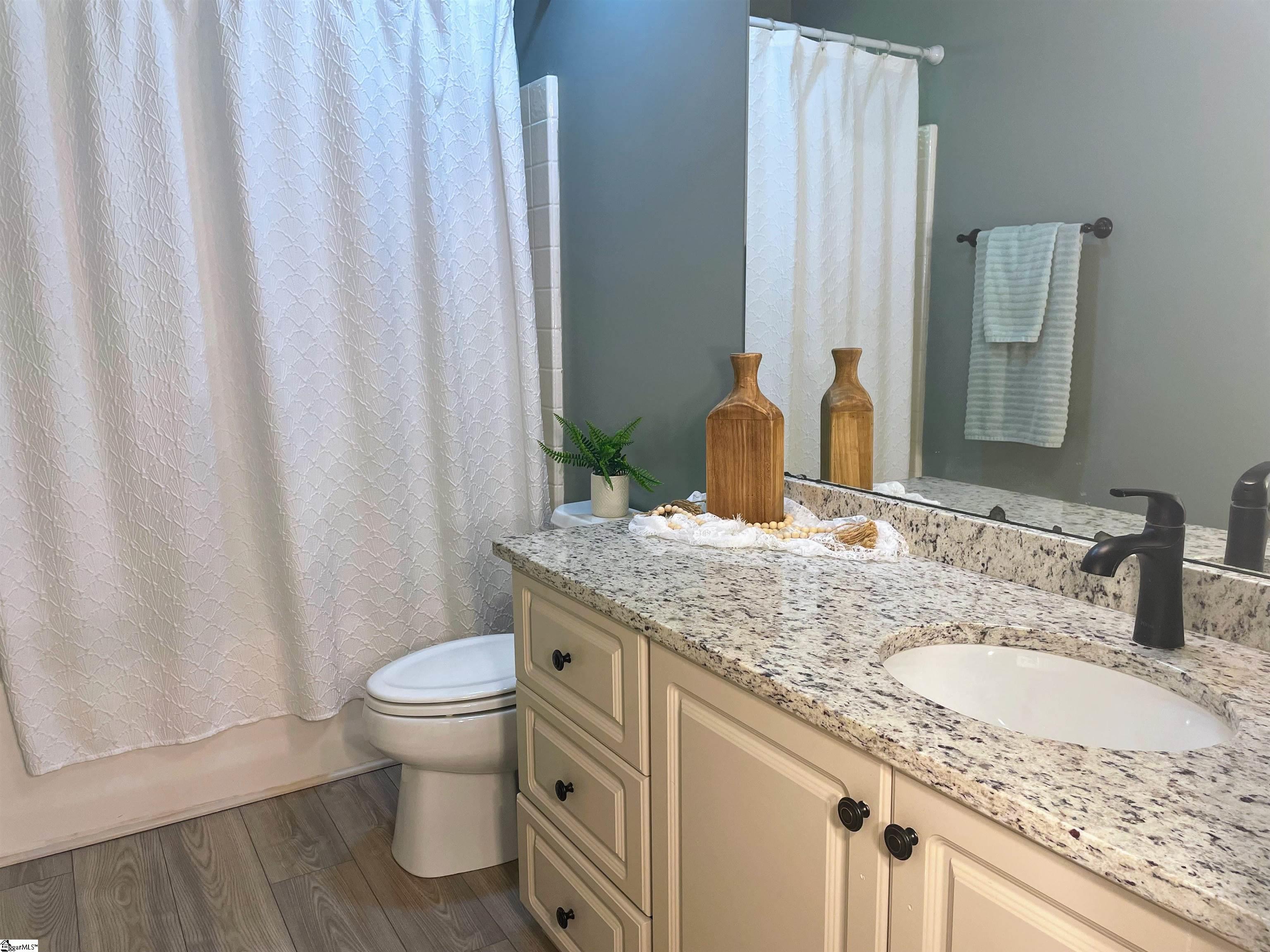 305 Goldenrain Way Simpsonville, SC 29680 - Photo 20 of 31