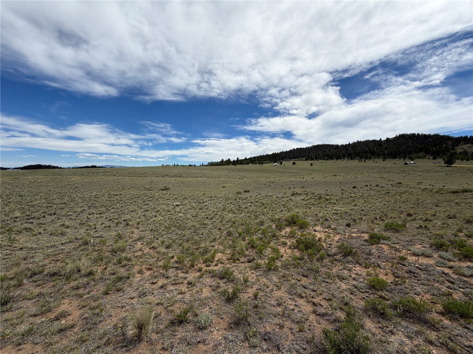 776 Commanche Trail Hartsel, CO 80449 - Photo 1 of 24