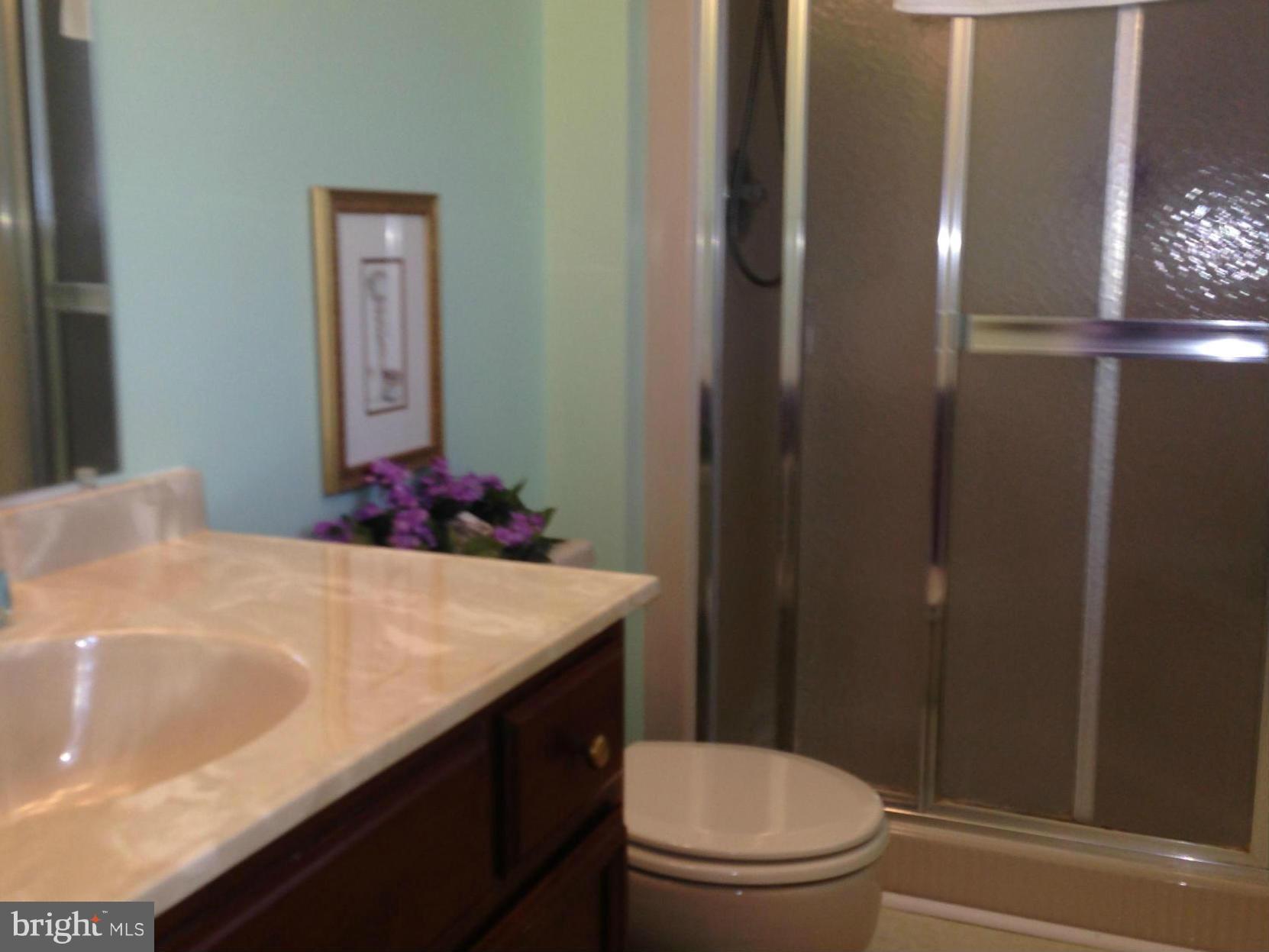 1171 Long Valley Road Westminster, MD 21158 - Photo 20 of 30 Bath (Master)