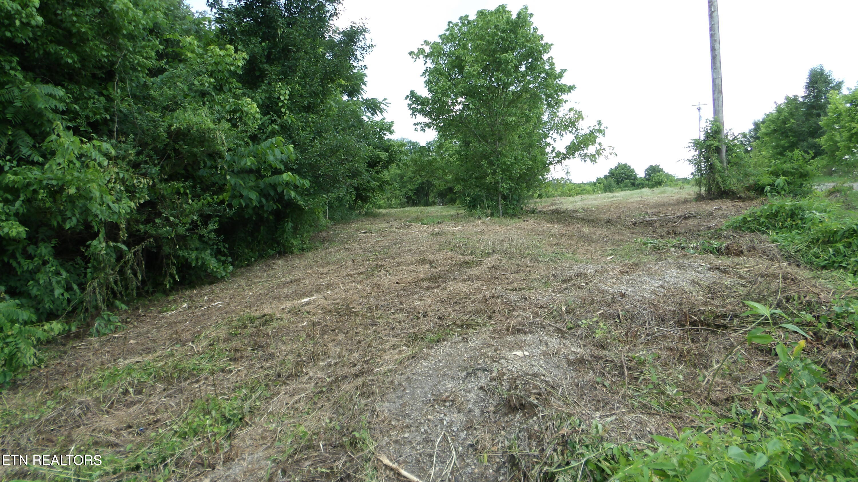 5.6-ac Lonnie Reecer Road Celina, TN 38551 - Photo 34 of 47 100_0071