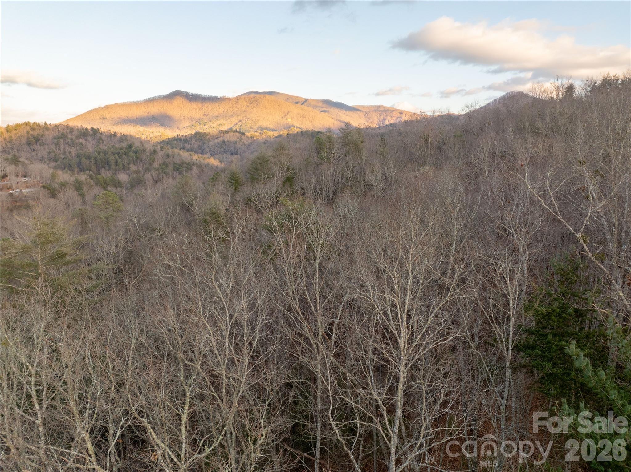 9180 Lower Alarka Road Bryson City, NC 28713 - Photo 5 of 7 a view of mountain view with mountains in the background