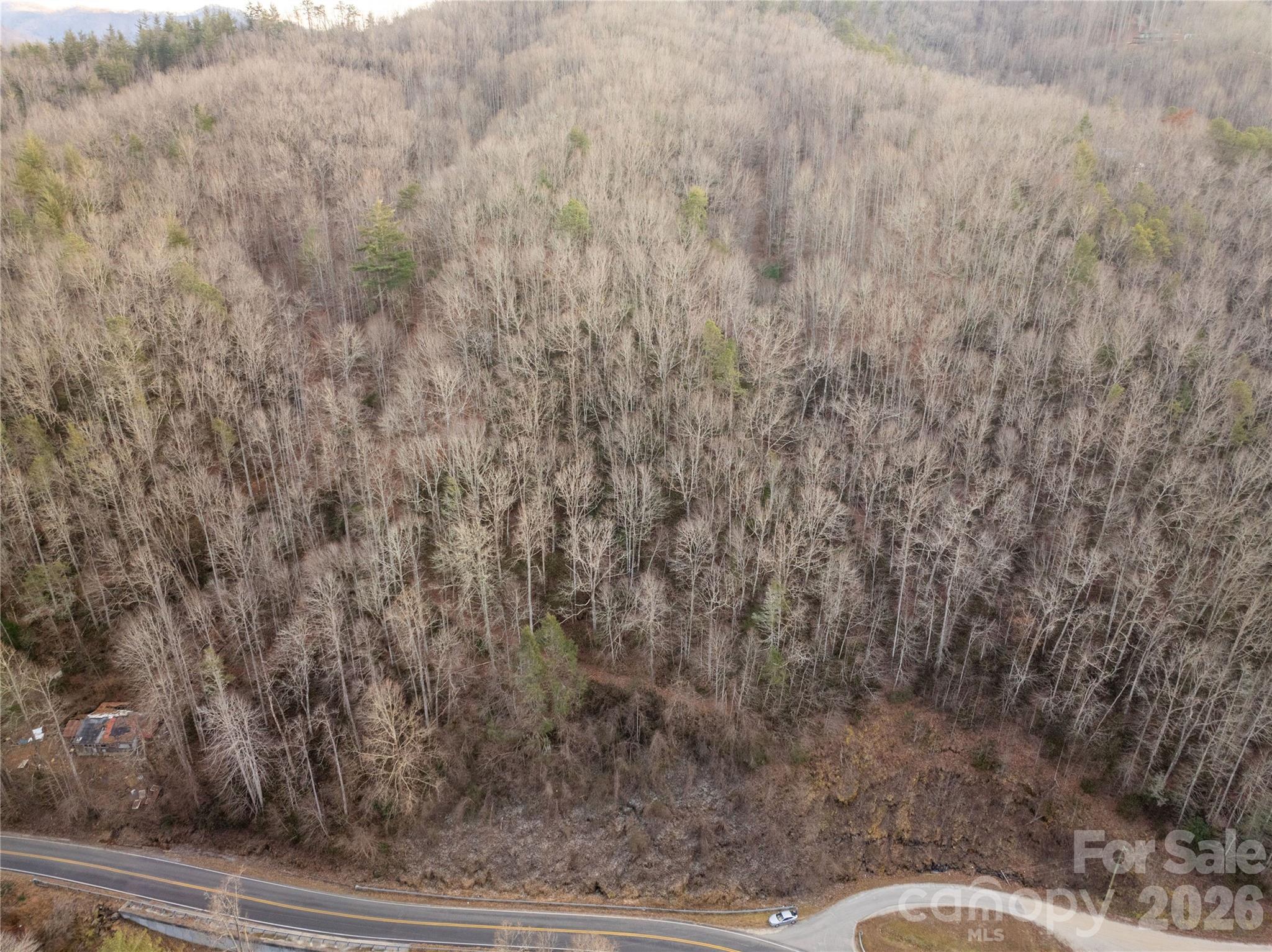 9180 Lower Alarka Road Bryson City, NC 28713 - Photo 5 of 7 a view of a yard