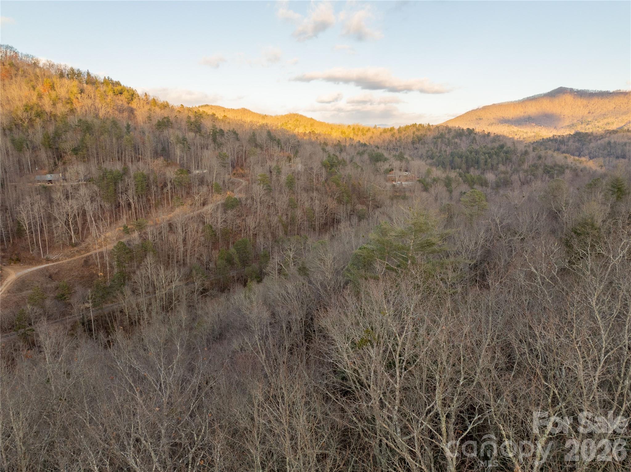 9180 Lower Alarka Road Bryson City, NC 28713 - Photo 6 of 7 a view of a mountain range in a cloudy sky