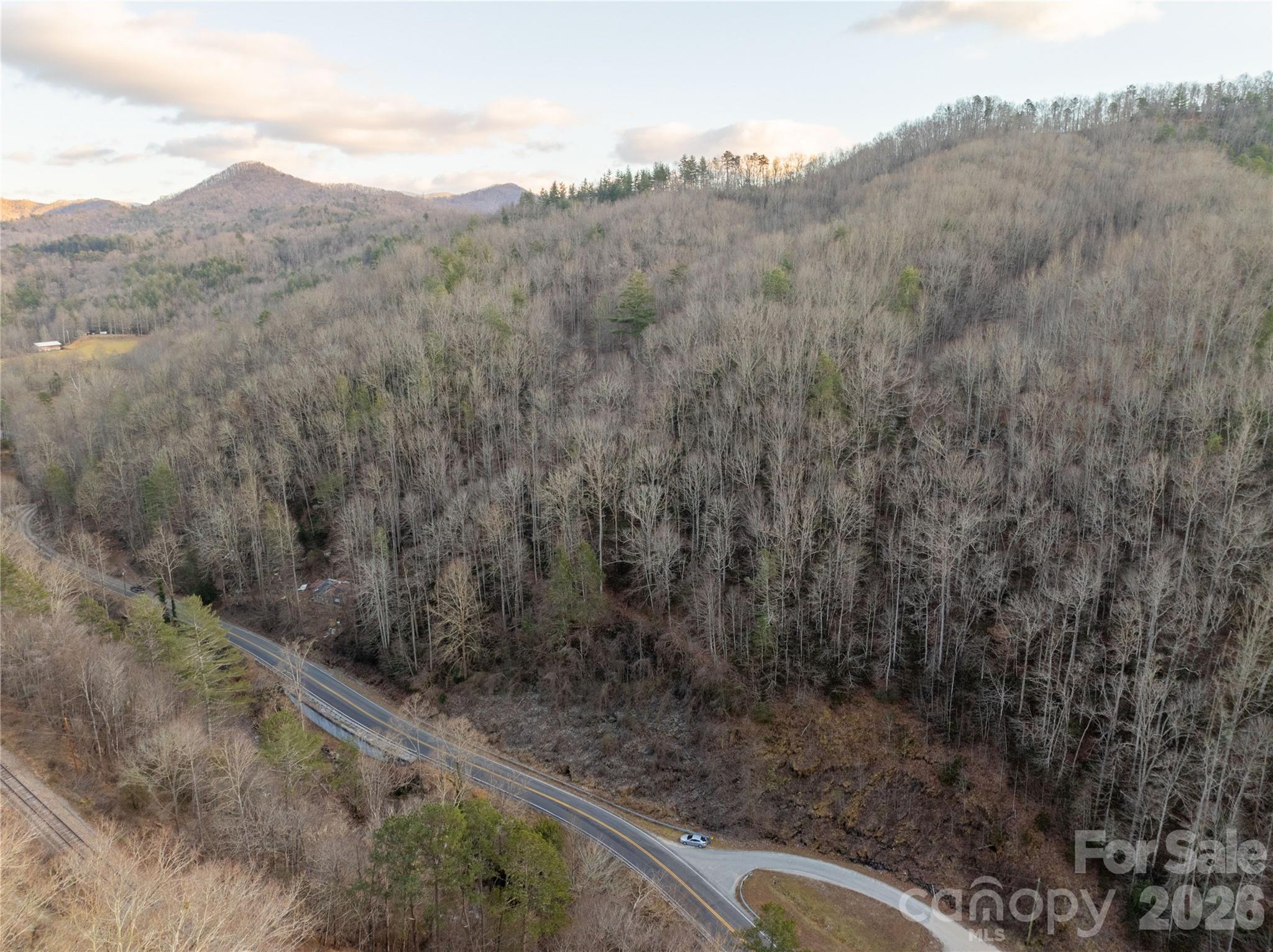 9180 Lower Alarka Road Bryson City, NC 28713 - Photo 7 of 7 a view of a forest with a forest