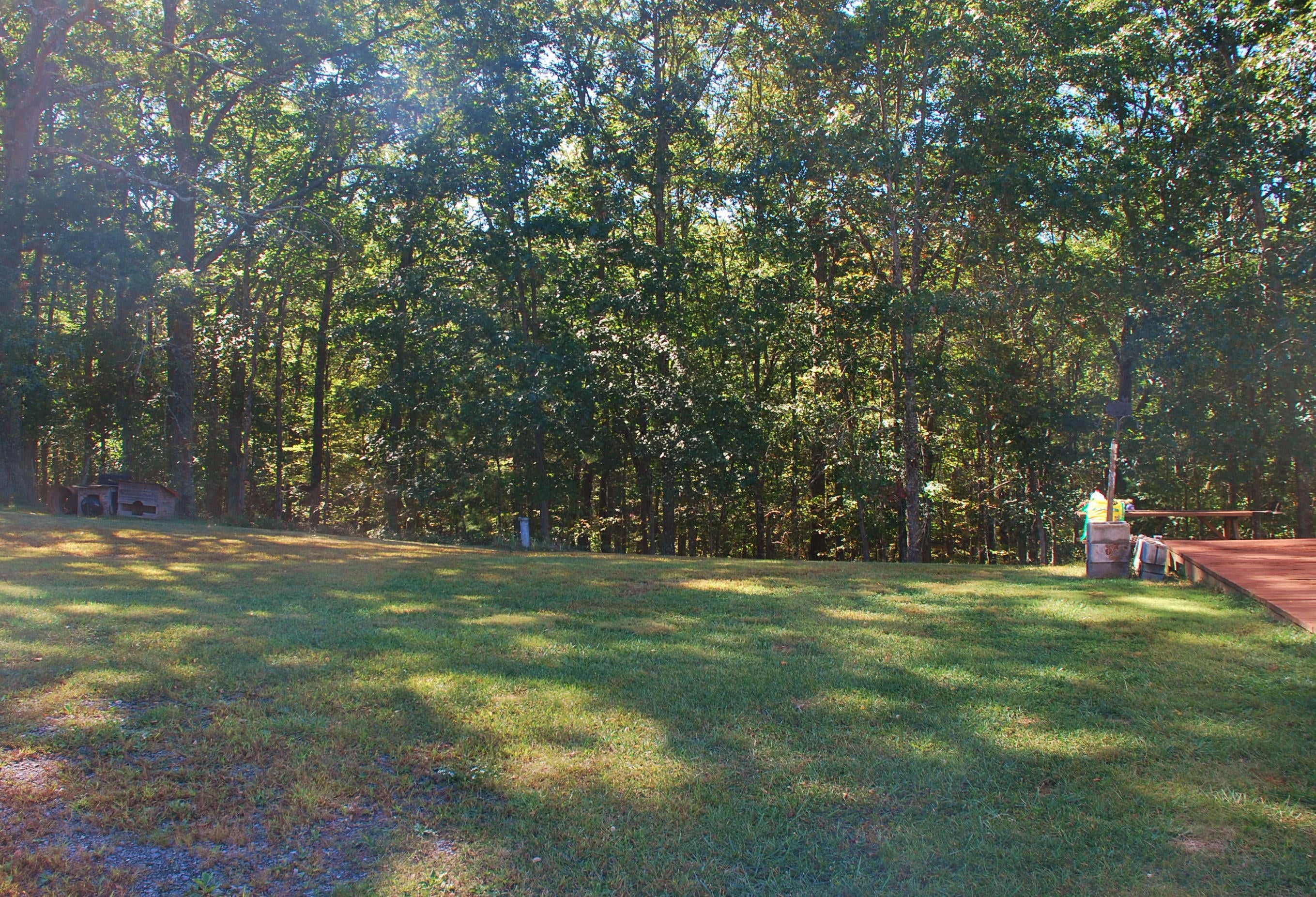 594 Slab Camp Road Renick, WV 24966 - Photo 6 of 29 Gallery Image 6