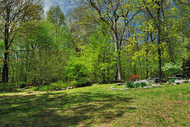 154 South Bald Hill Road New Canaan, CT 06840 - Photo 16 of 21 a garden view