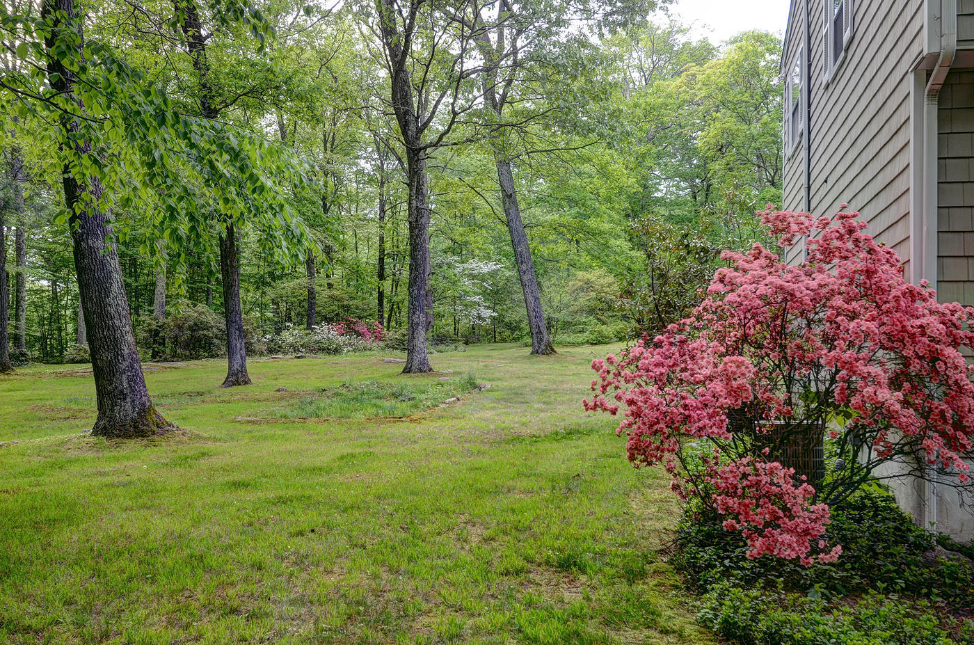 154 South Bald Hill Road New Canaan, CT 06840 - Photo 17 of 21 a view of a garden