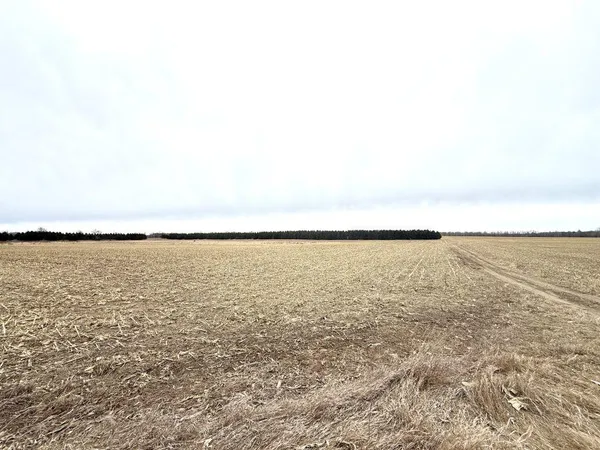 $1 | Tbd 400th Street, New York Mills, MN 56567