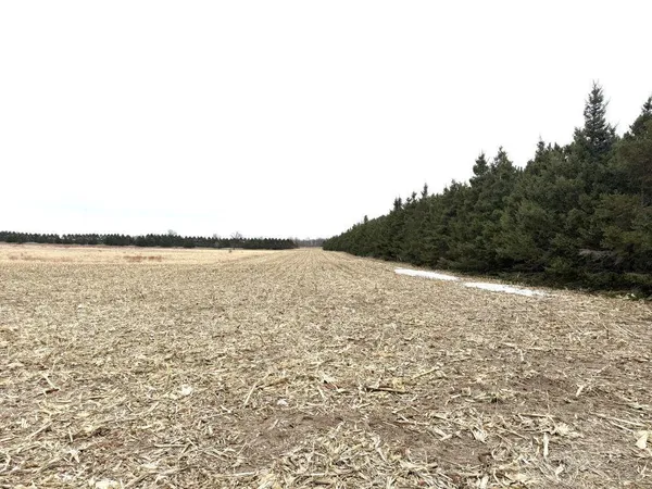 $1 | Tbd 400th Street, New York Mills, MN 56567