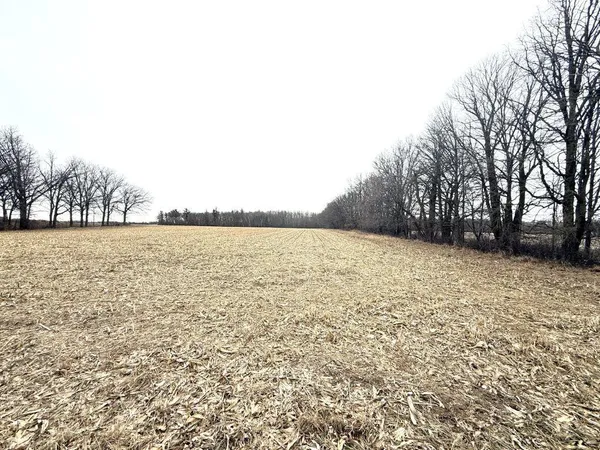 $1 | Tbd 400th Street, New York Mills, MN 56567