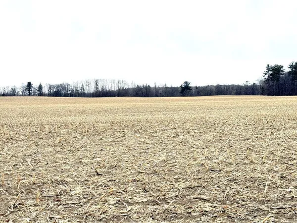 $1 | Tbd 400th Street, New York Mills, MN 56567