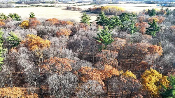 $1 | Tbd 400th Street, New York Mills, MN 56567