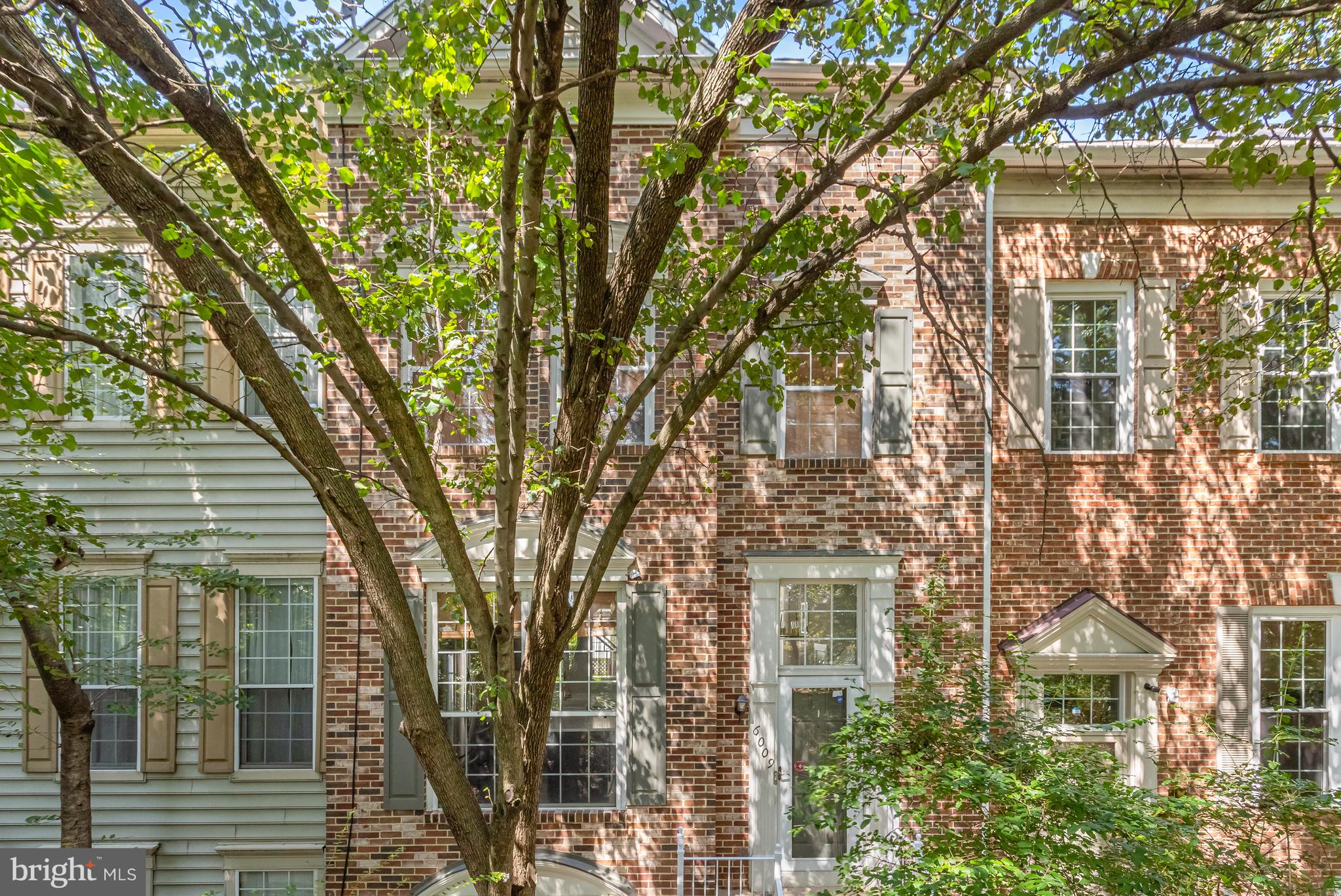 6009 Riddle Walk Alexandria, VA 22312 - Photo 3 of 71 Gallery Image 3