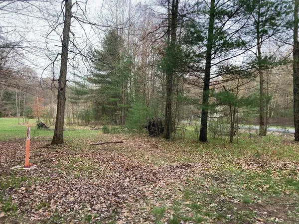 $20,000 | 192nd Avenue, Big Rapids, MI 49307