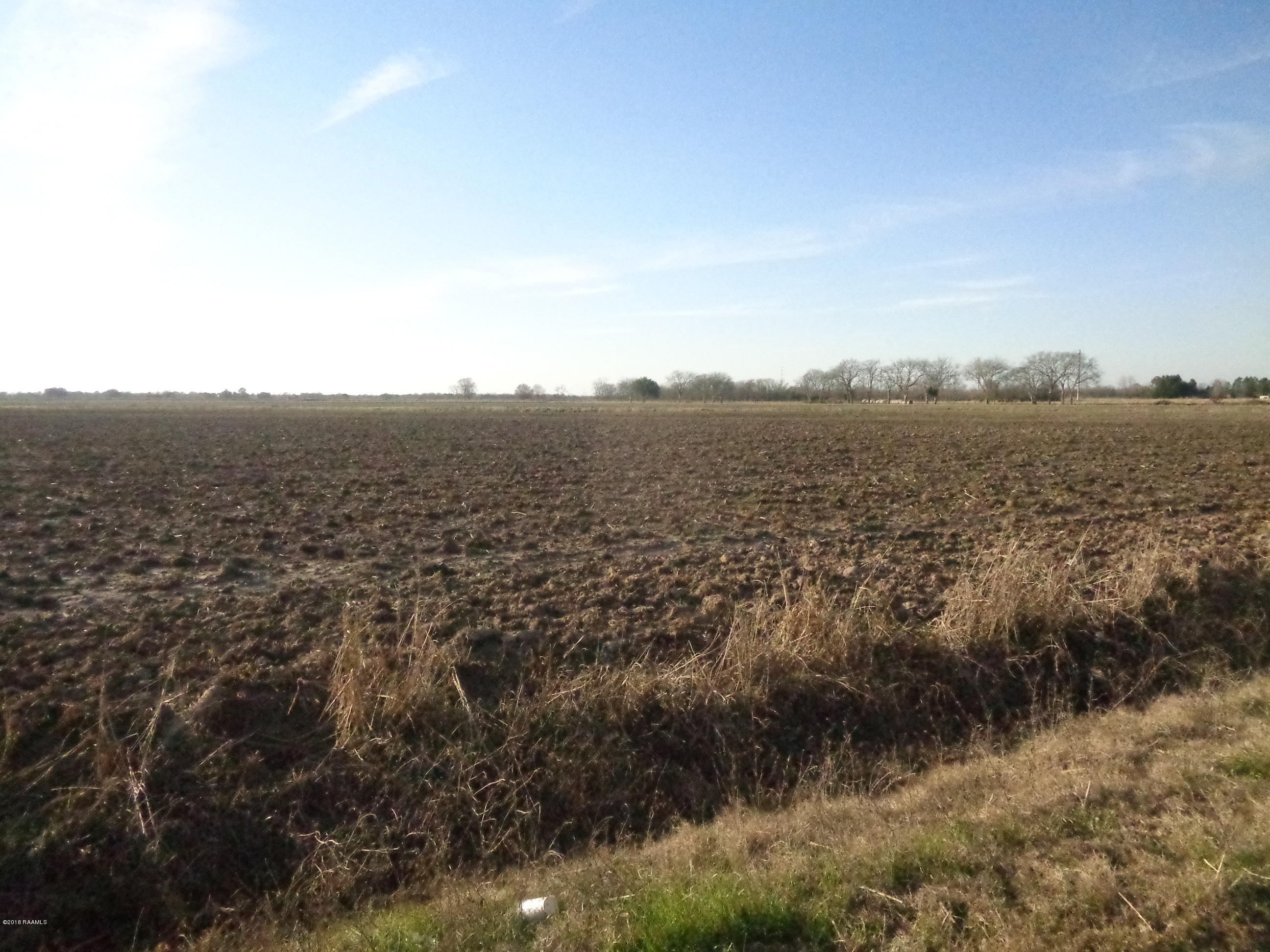 800 Wil Turner Road Rayne, LA 70578 - Photo 2 of 5