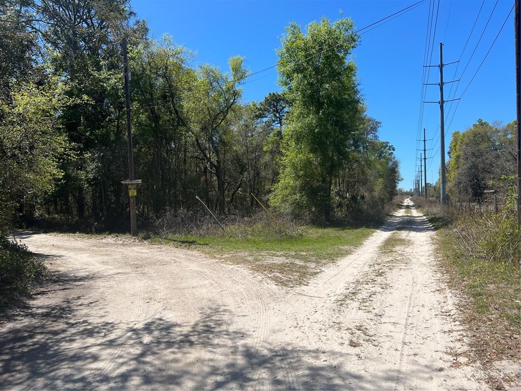 0 Robinhood Road Hudson, FL 34669 - Photo 1 of 1 Front of property, turn left, ingress/egress road runs to address #12510. Seller says this is part of this parcel on right of road. Going straight is Robinhood Road.