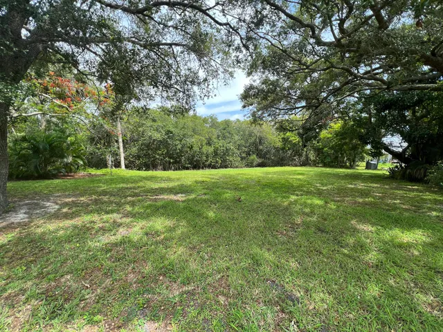 a view of a grassy field with trees