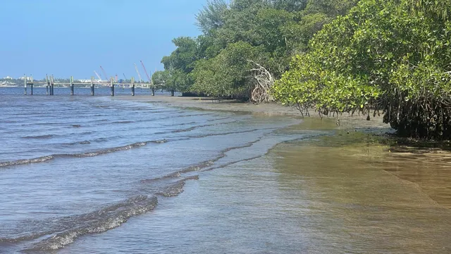 a view of a lake view