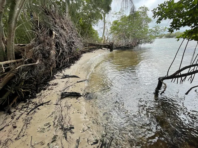 a view of a lake with beach and mountain view