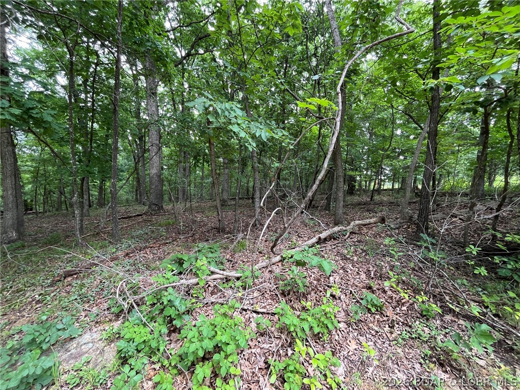 Lot 1050 Bittersweet Rd Lake Lake Ozark, MO 65049 - Photo 6 of 7