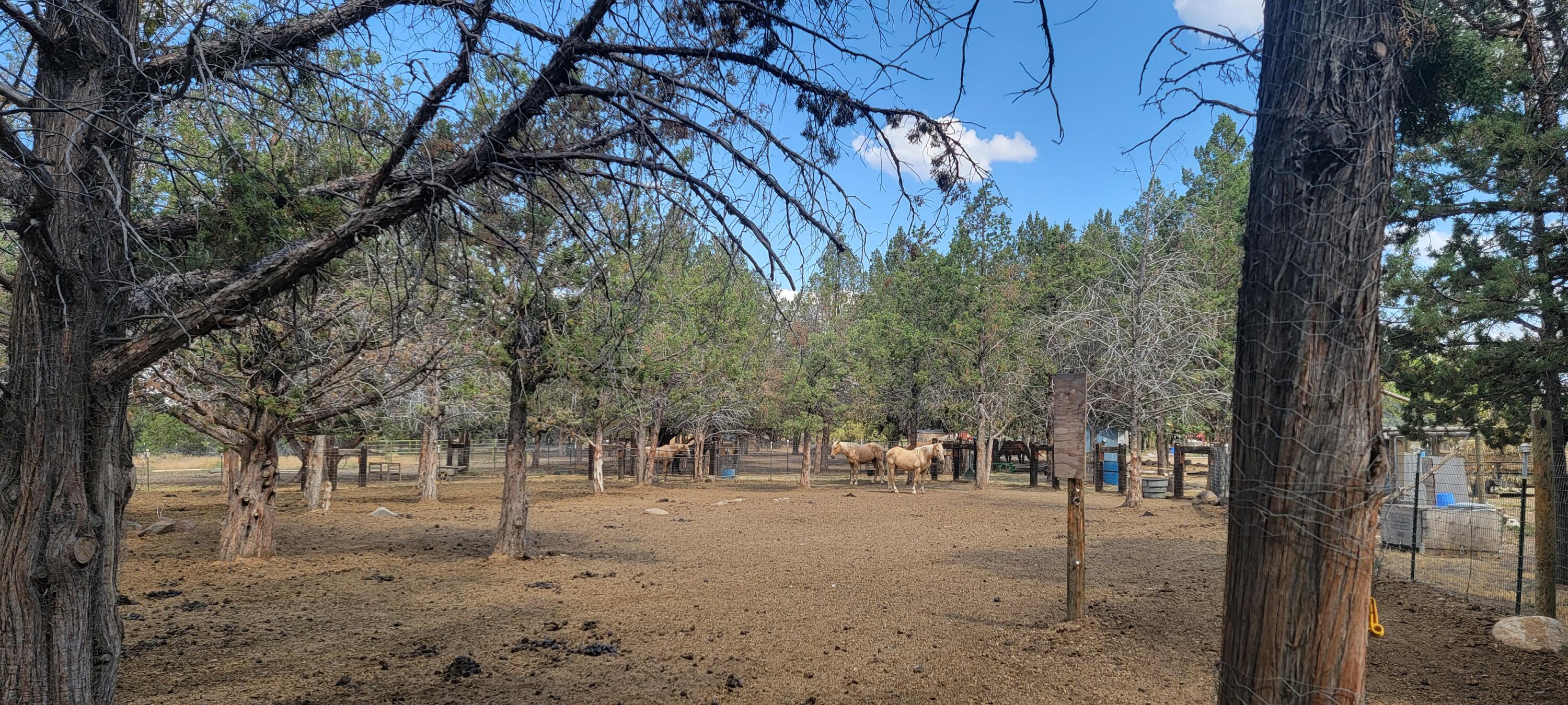 64570 Research Road Bend, OR 97703 - Photo 40 of 60 Paddocks