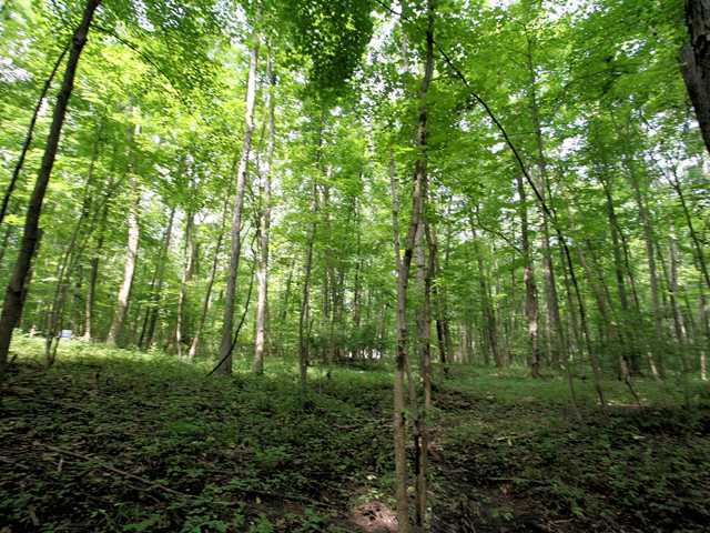 0 Sunbury Road, Unit LOT 219 Galena, OH 43021 - Photo 11 of 15